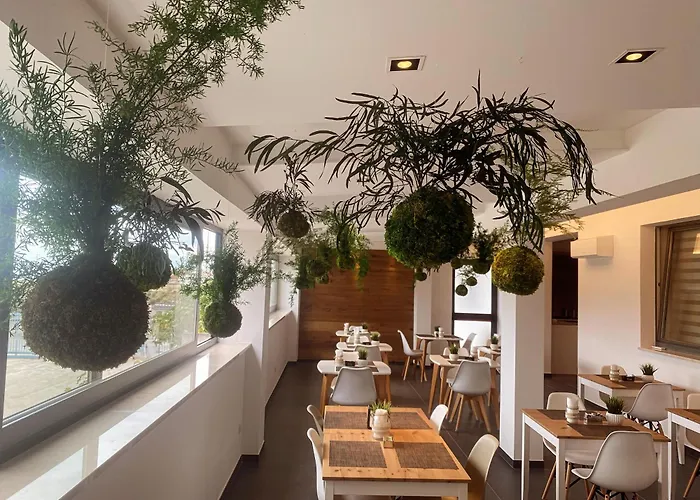 Moma Hotel Wellness&Spa